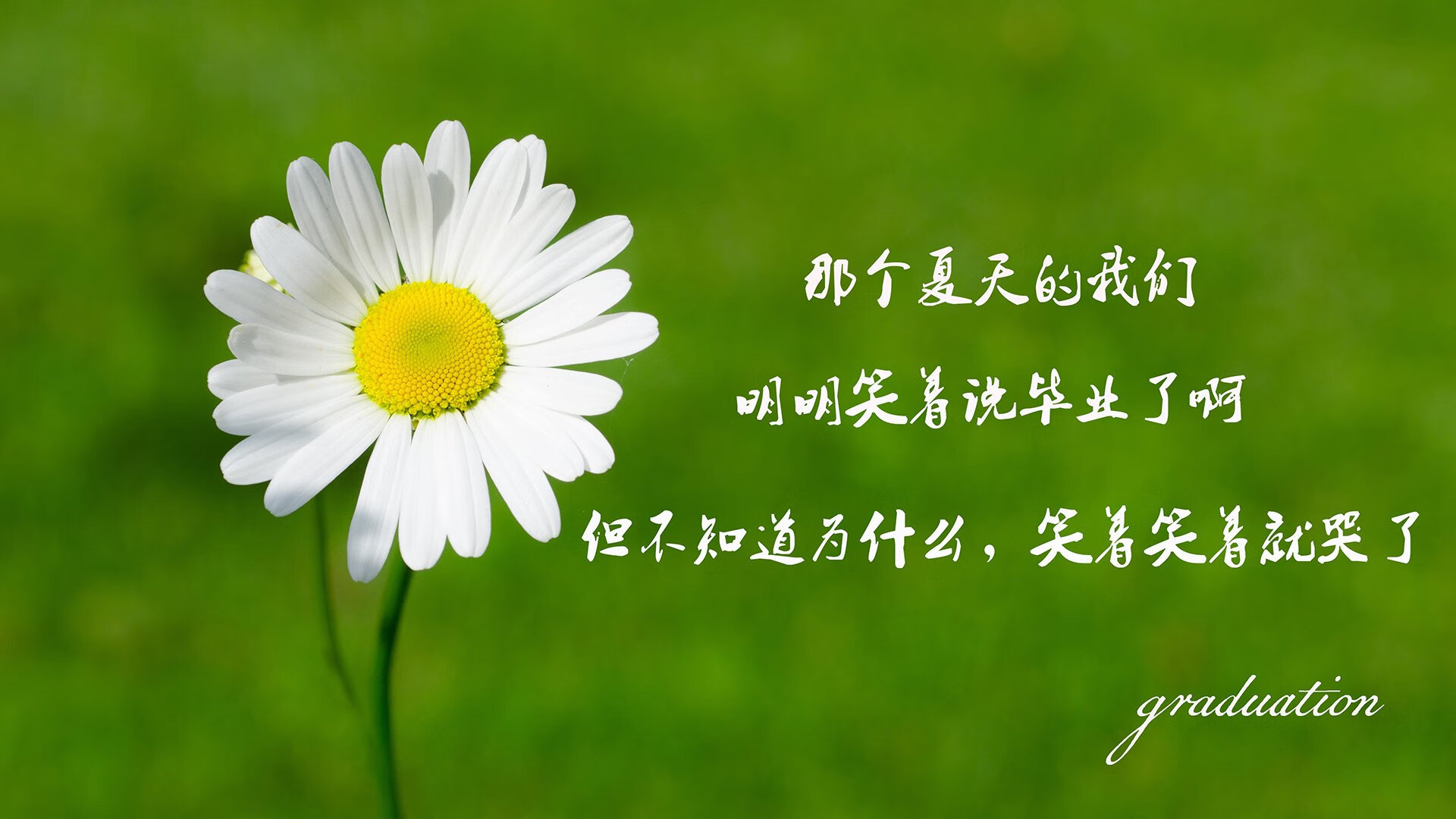 _不可思议的逆转:全英羽毛球公开赛半决赛回顾_,全英羽毛球公开赛决赛时间表
