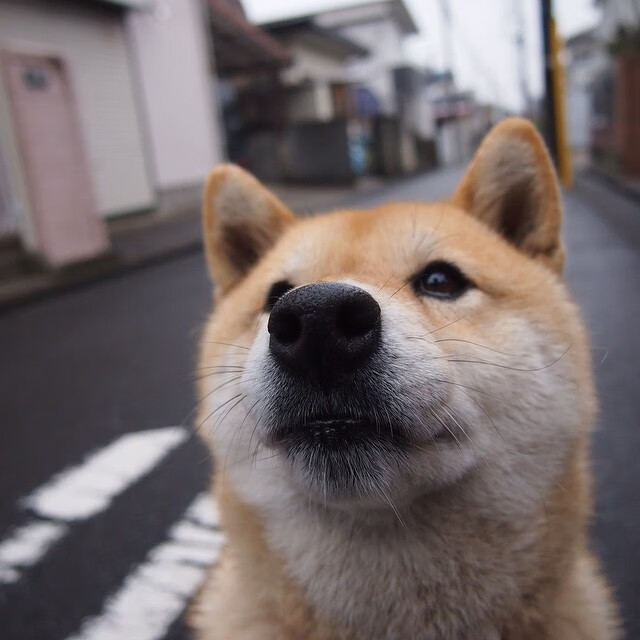 _趣味垂钓大赛:运动也可休闲娱乐_,趣味钓鱼游戏规则图片