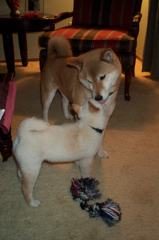 _趣味垂钓大赛:运动也可休闲娱乐_,趣味钓鱼游戏规则图片