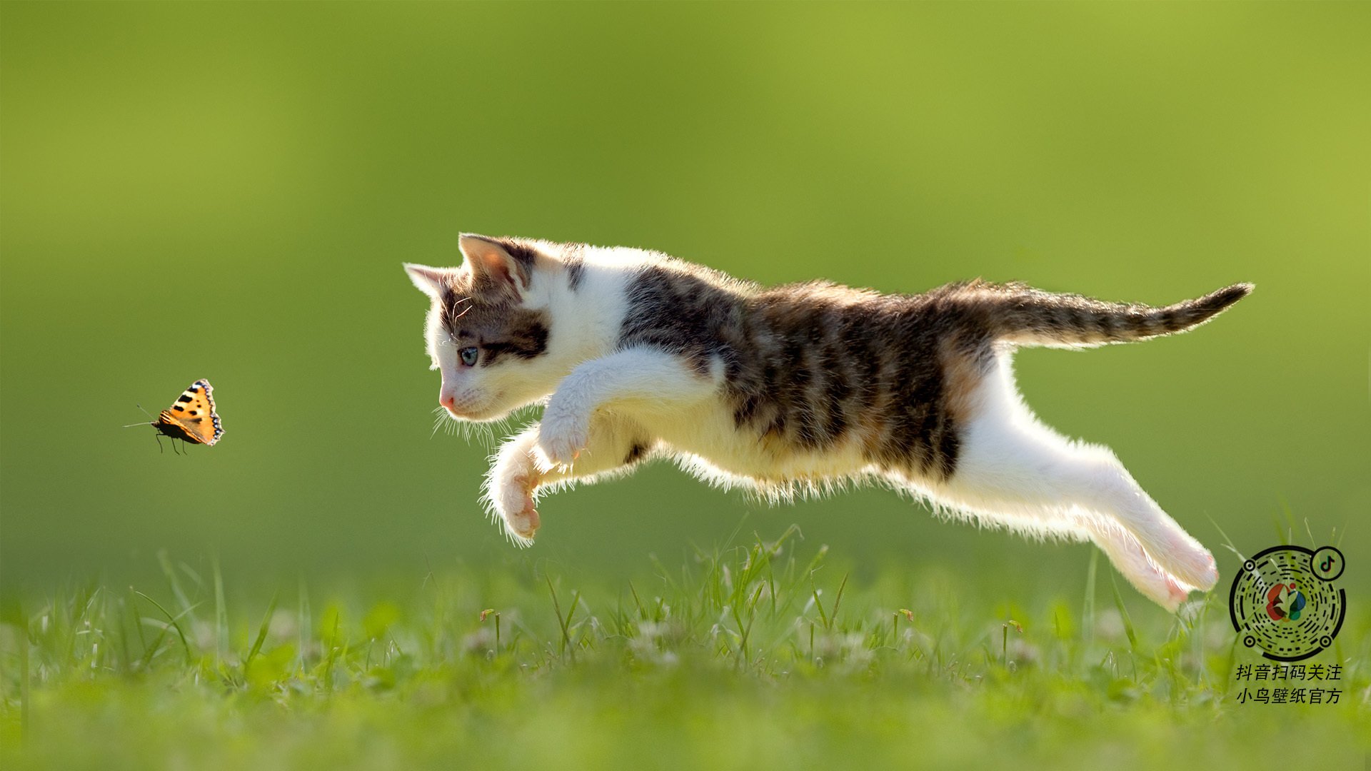 “弯道飞旋:漂移与超车的极致舞蹈”,弯道漂移翻车动图