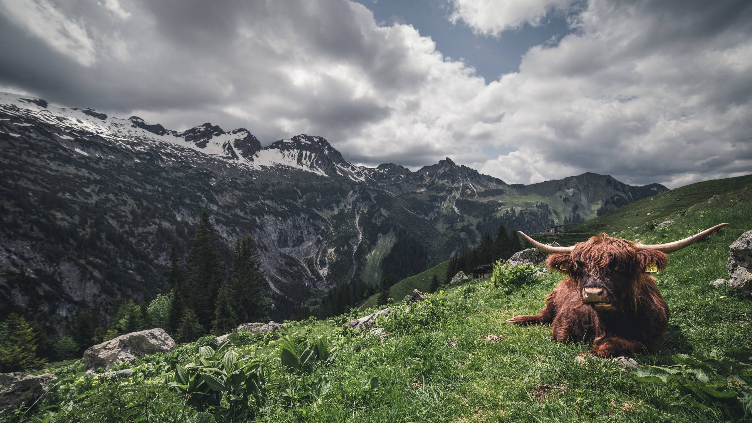 体育+文化融合创新,推动青少年多元发展新格局,体育文化的融合